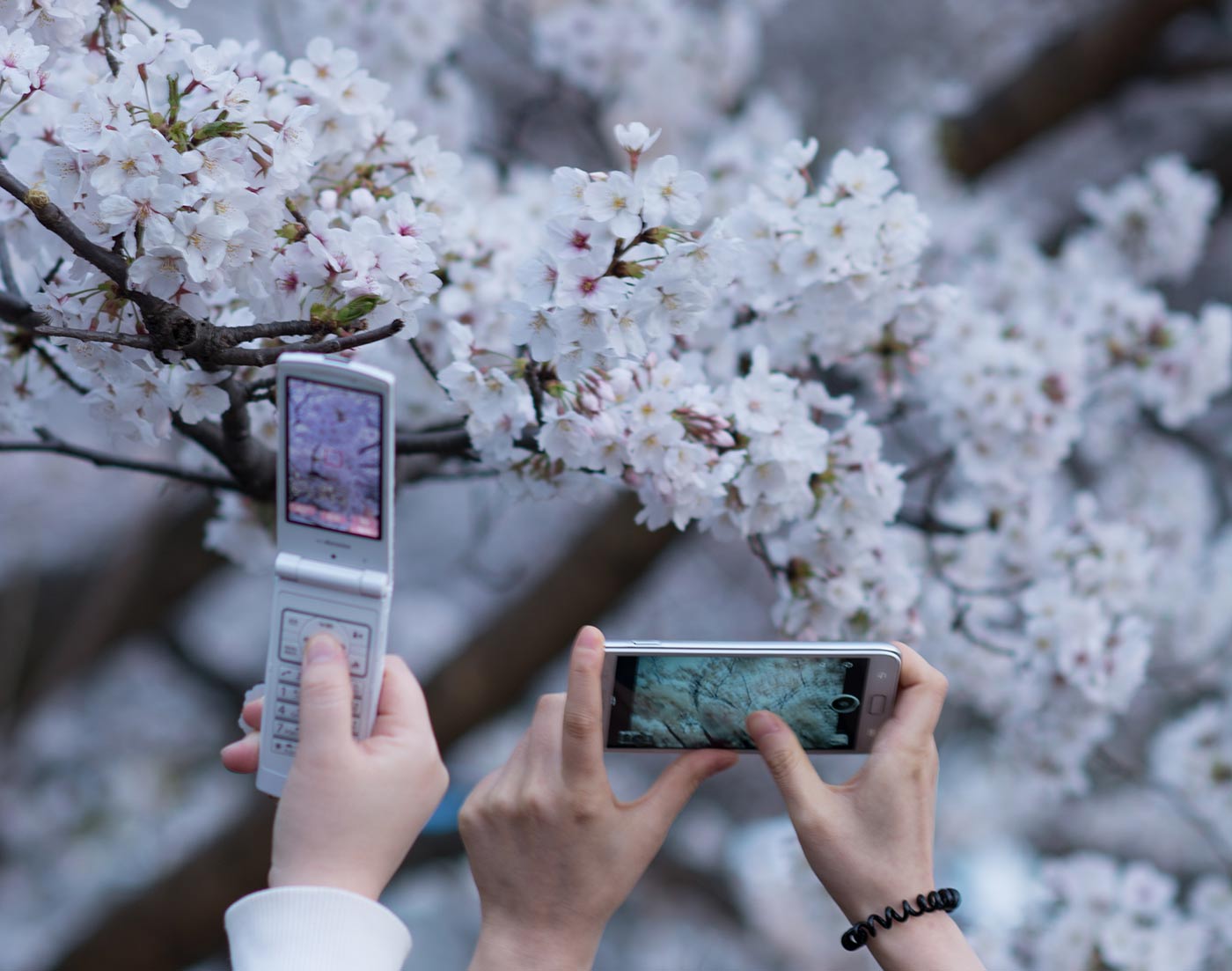 Traditional cell phone versus smart phone.