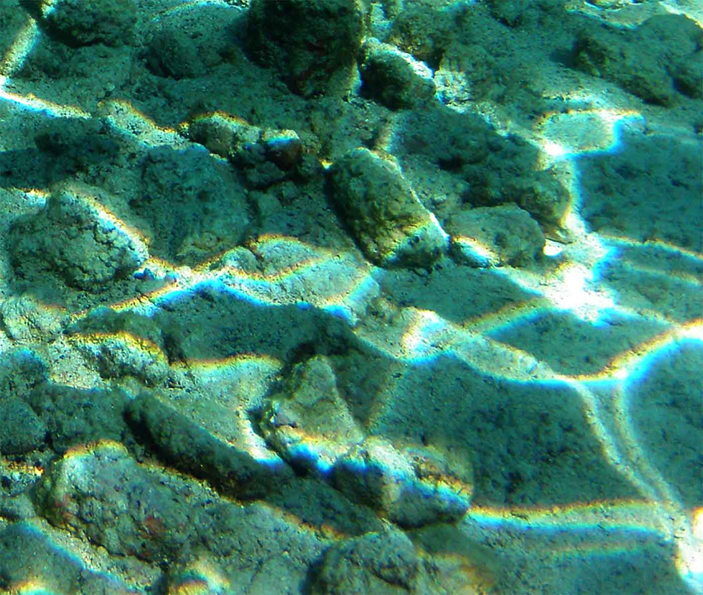 Under water in Kona, Hawaii