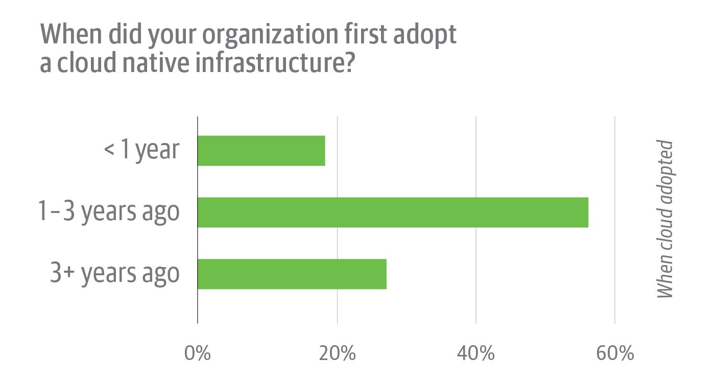 Cloud native adoption history among survey respondents